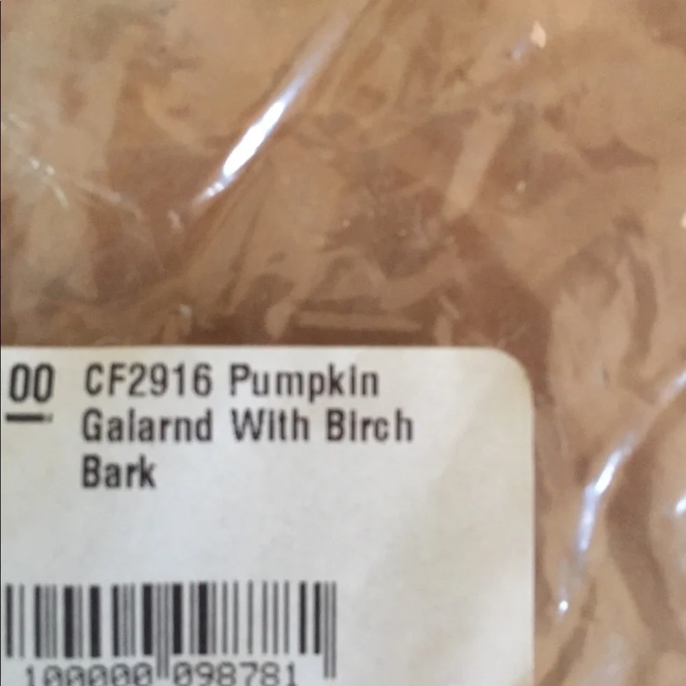 Birch bark rustic fall pumpkin ornament garland